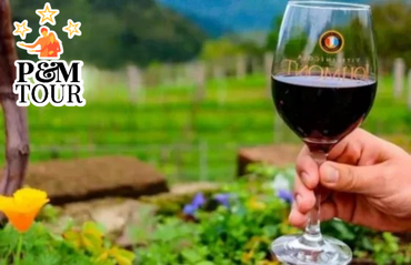 Design sem nome - 2023-04-26T142203.013.png