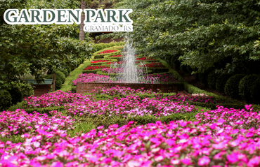 Design sem nome - 2023-01-05T092303.466.png