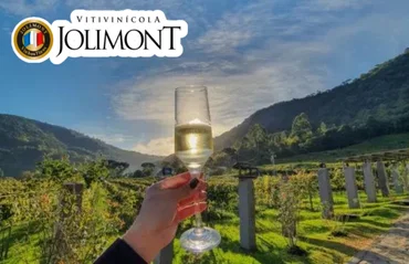 Design sem nome - 2023-05-12T152356.725.png