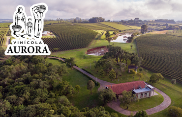 Design sem nome (27).png