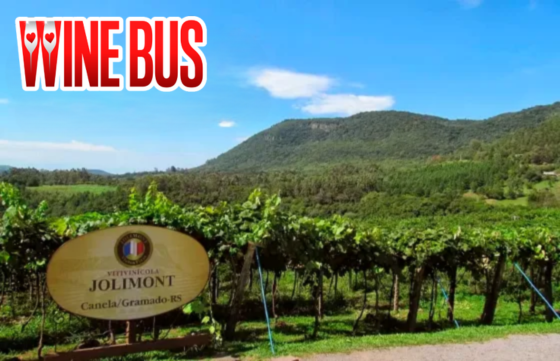 wine bus (4).png