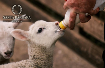 estancia santa barbara (4).png