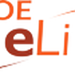 Logo Voe Canelinha